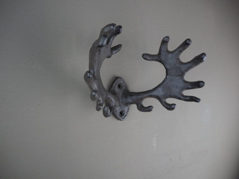 Horn