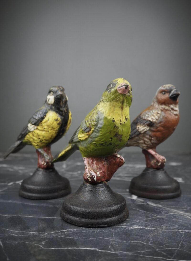 Bird with base 3 ass