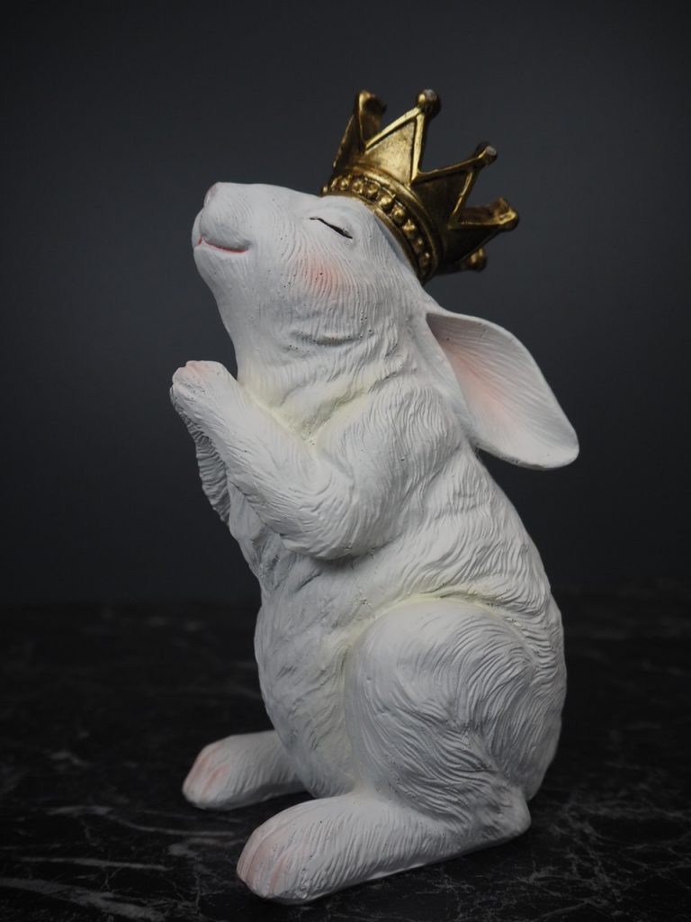 Rosalia Rabbit praying - Image 2