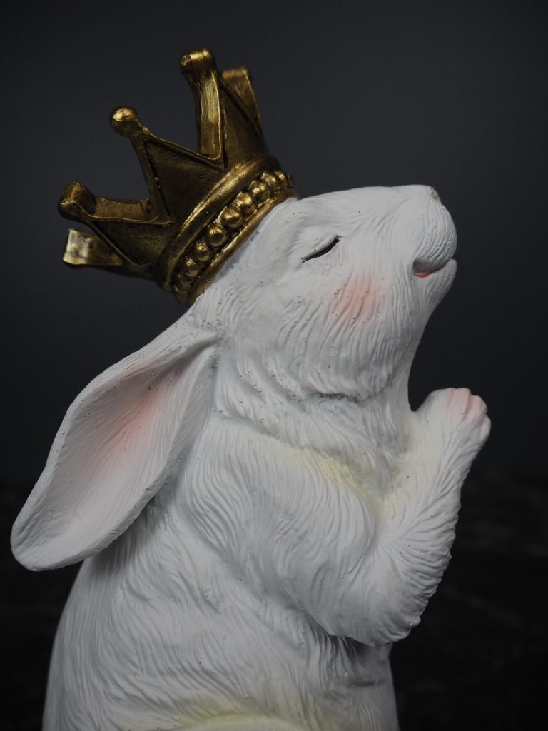 Rosalia Rabbit praying - Image 3