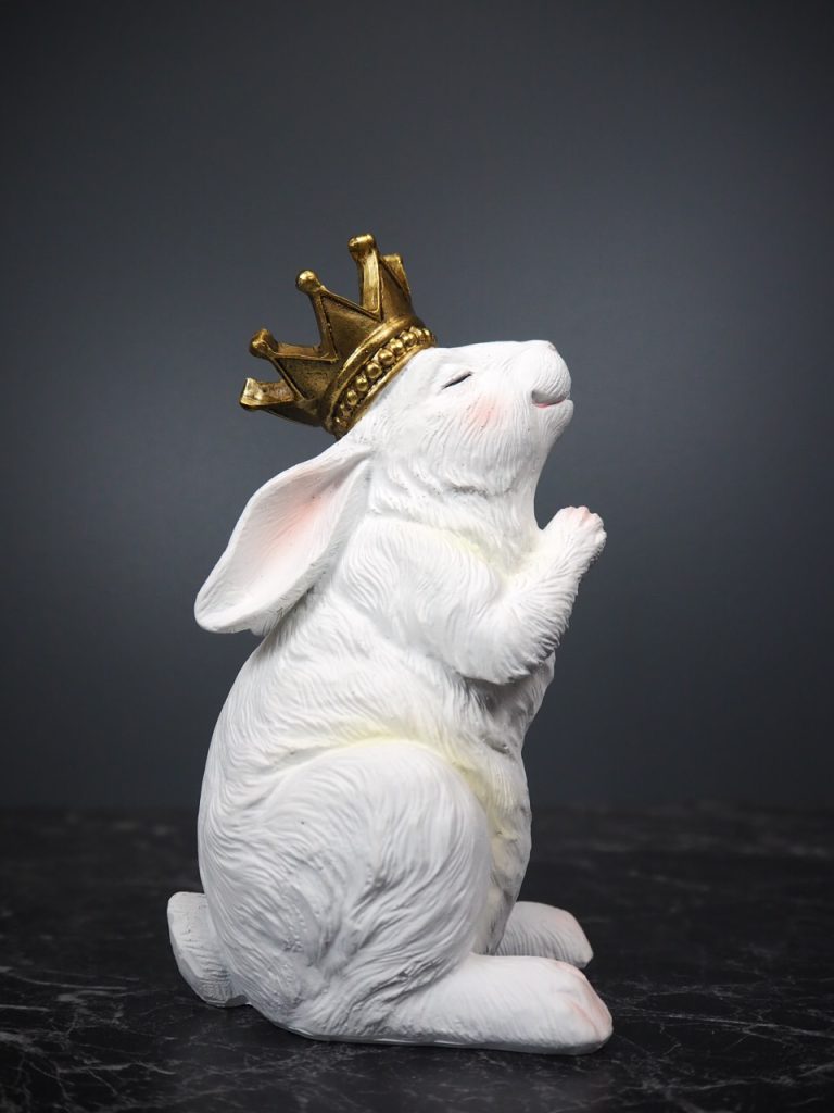 Rosalia Rabbit praying - Image 4