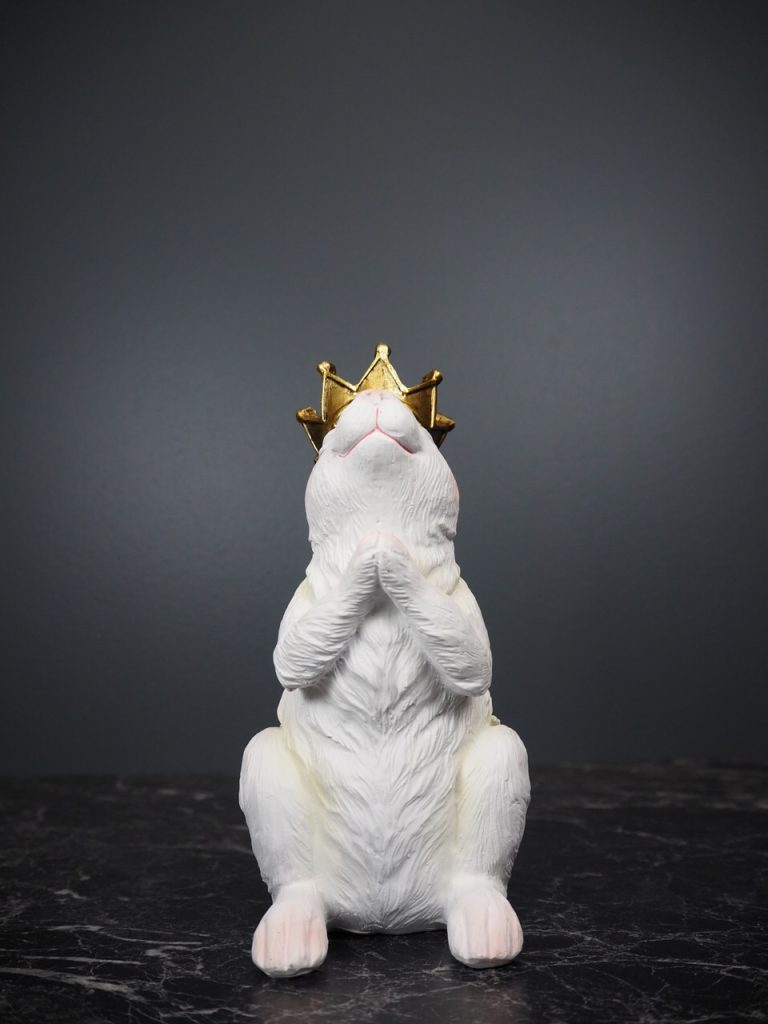 Rosalia Rabbit praying - Image 5