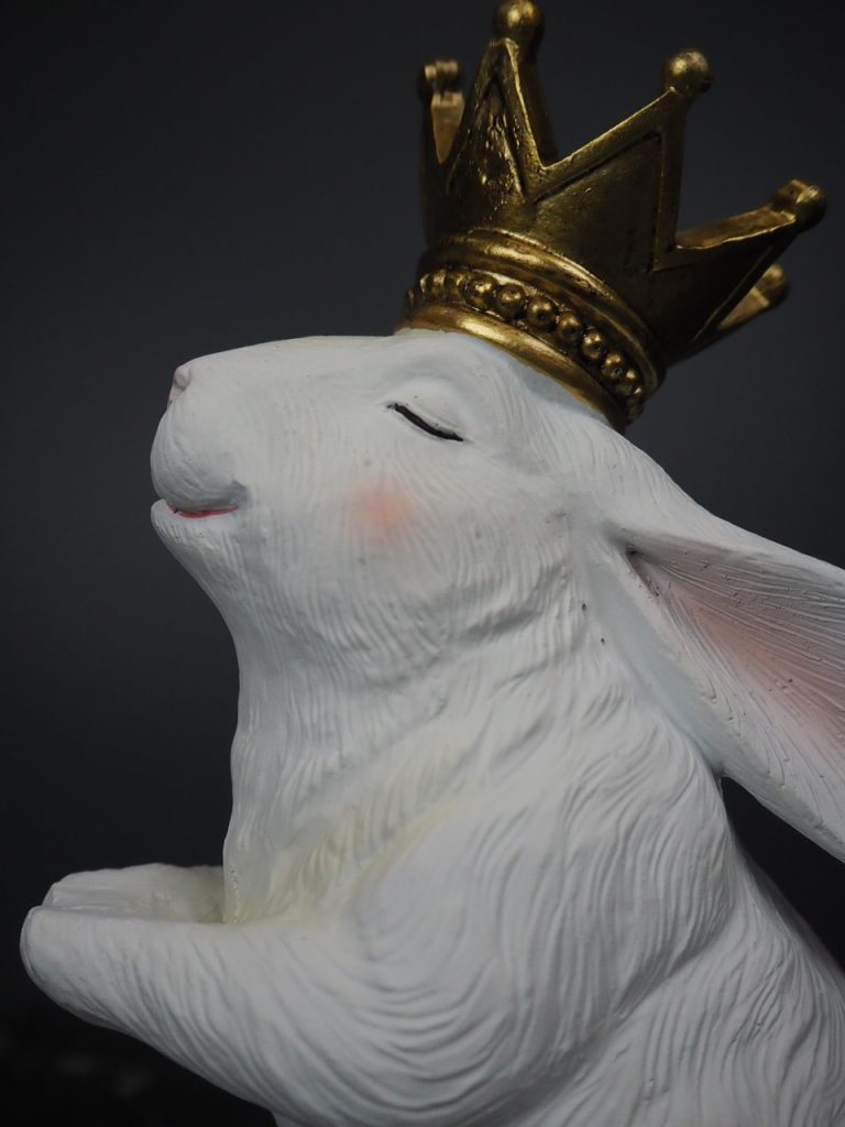Rosa Rabbit - Image 3