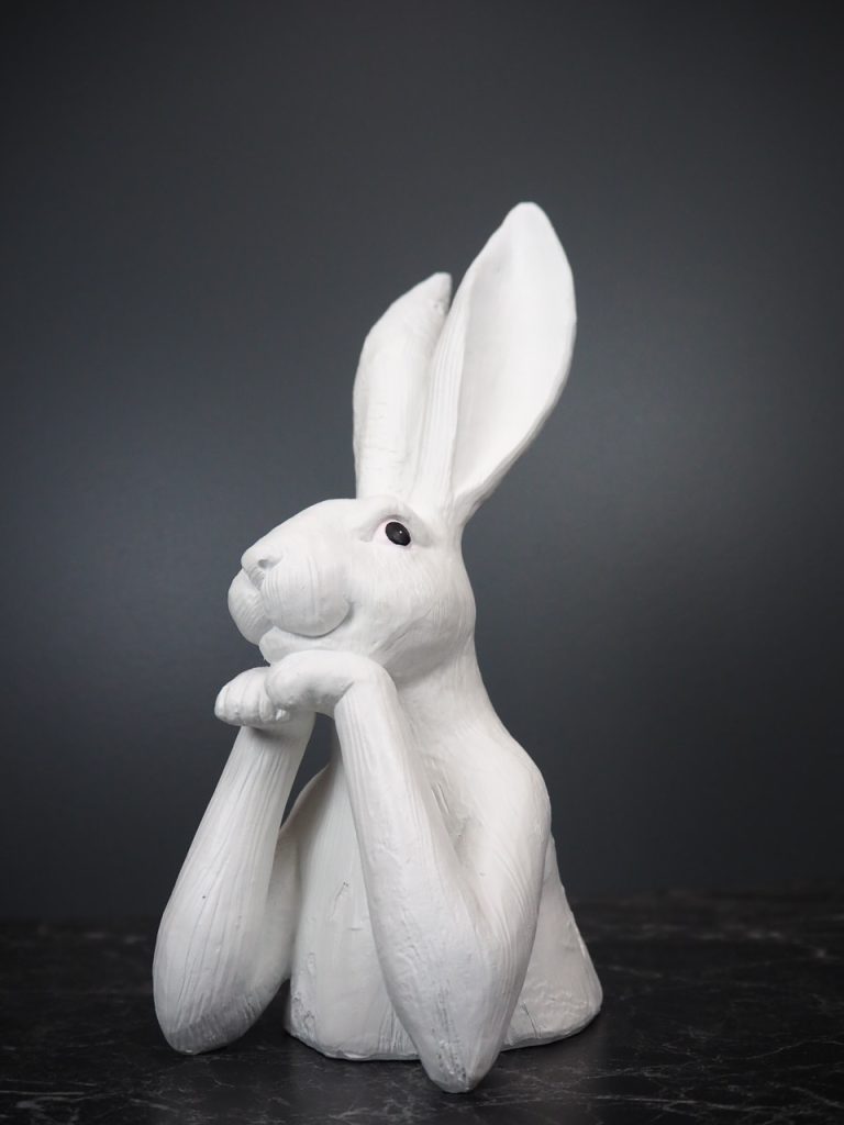 Romina Rabbit thinking - Image 2