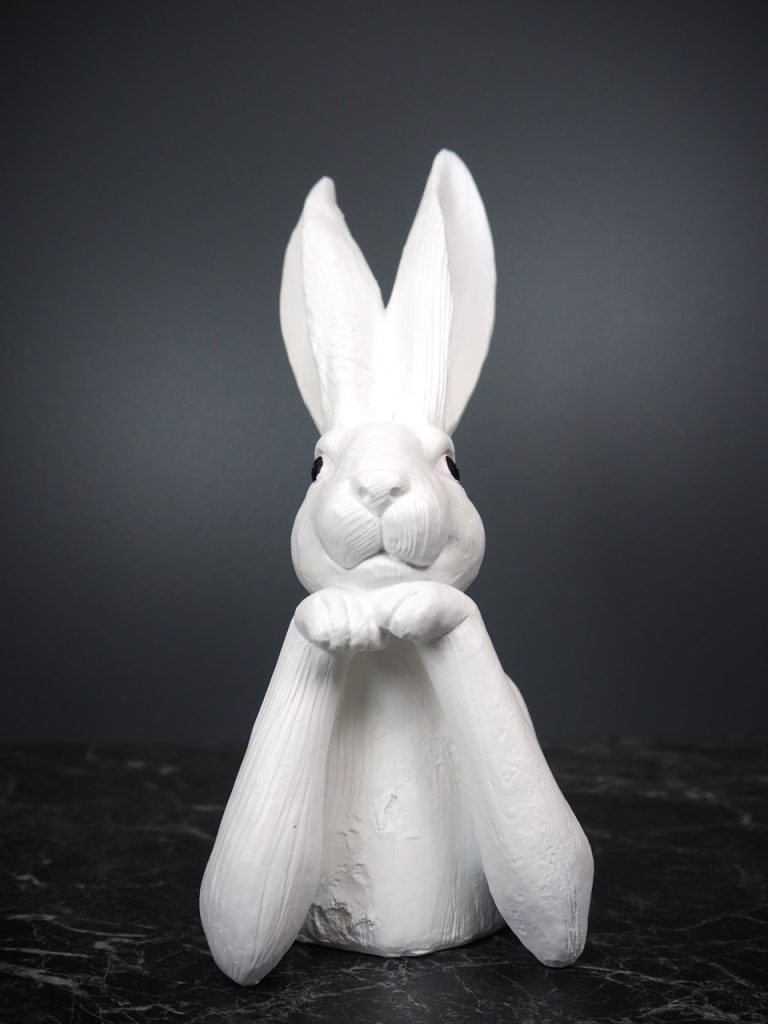 Romina Rabbit thinking - Image 3