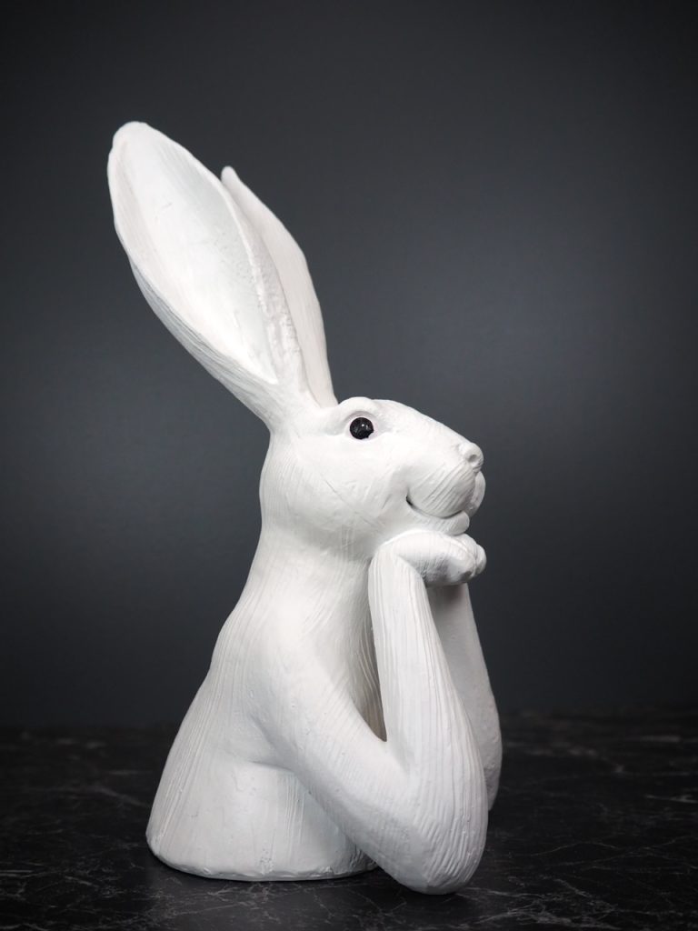 Romina Rabbit thinking - Image 4
