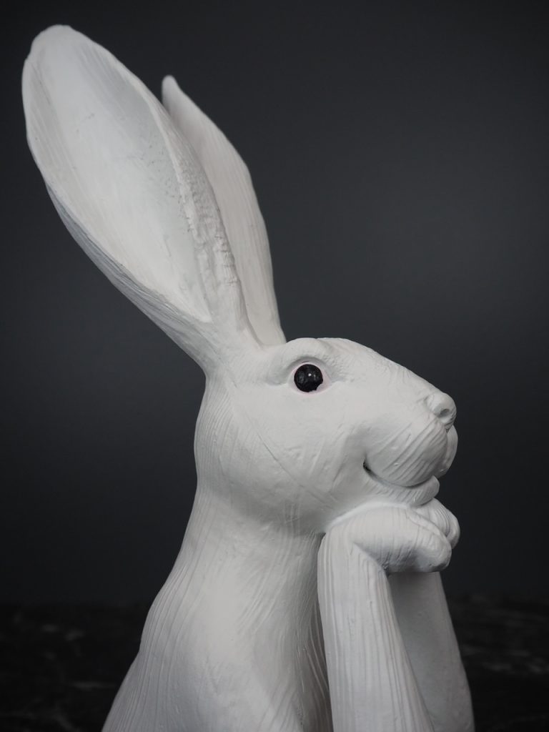 Romina Rabbit thinking - Image 5
