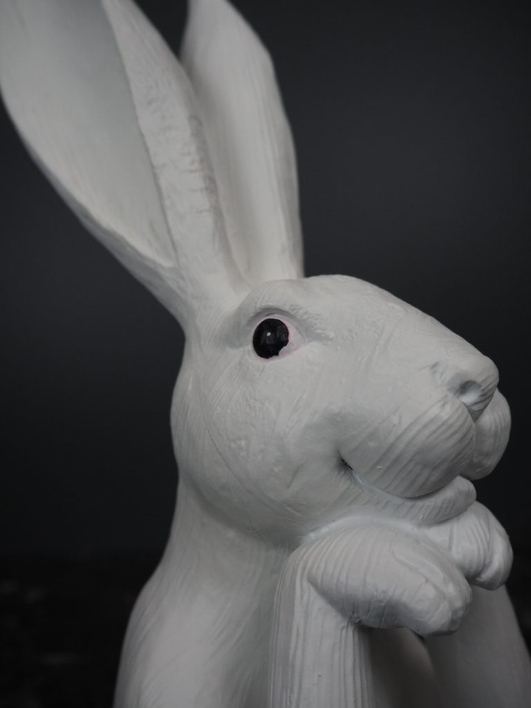 Romina Rabbit thinking - Image 7