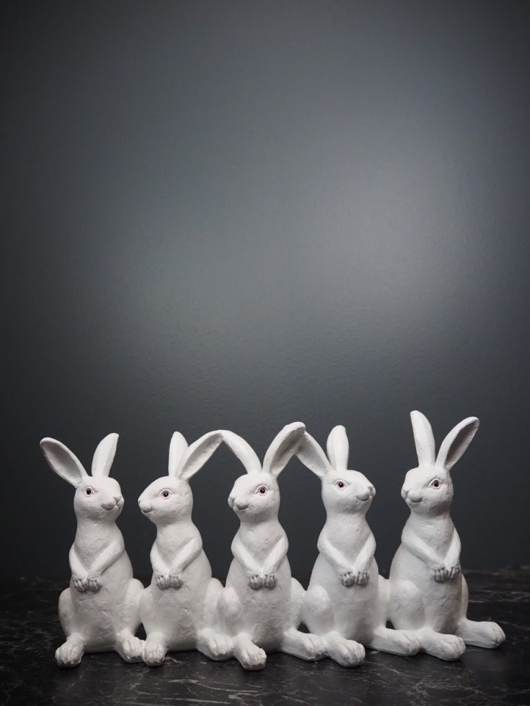 Renzo Rabbit family 5 - Image 2