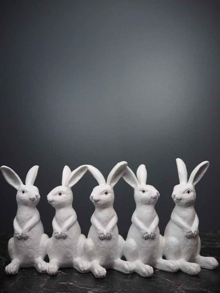 Renzo Rabbit family 5 - Image 5
