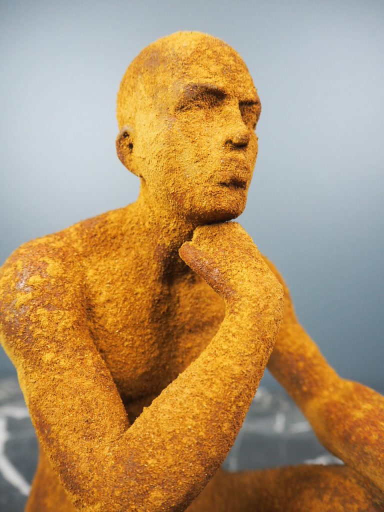 Adonis rusty - Image 4