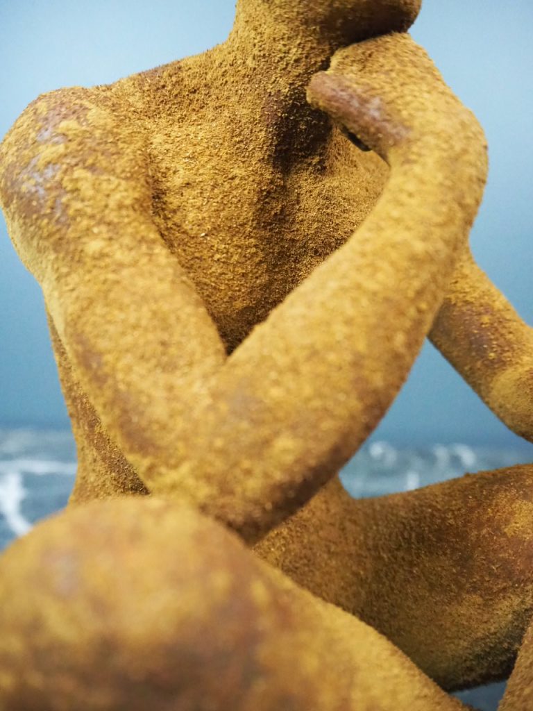 Adonis rusty - Image 5