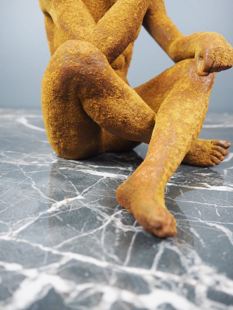 Adonis rusty - Image 6