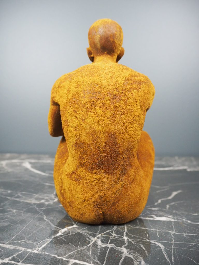 Adonis rusty - Image 7