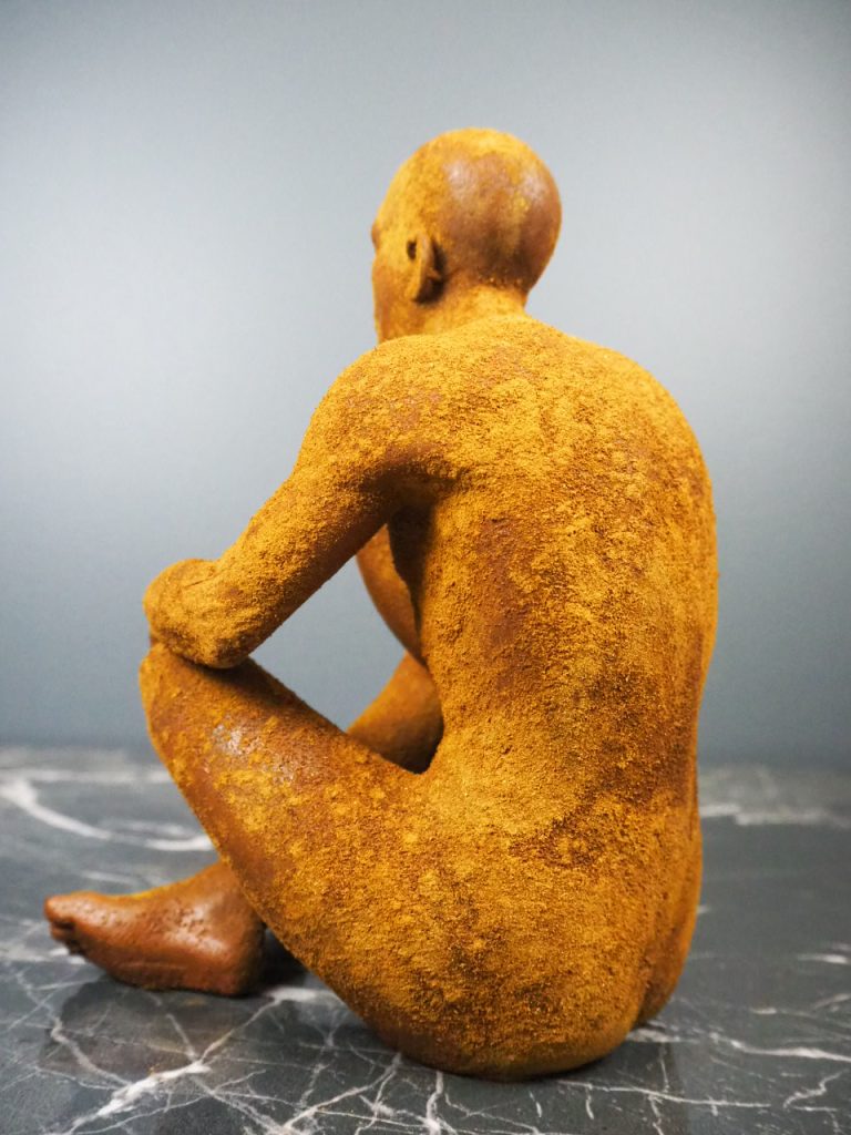 Adonis rusty - Image 8