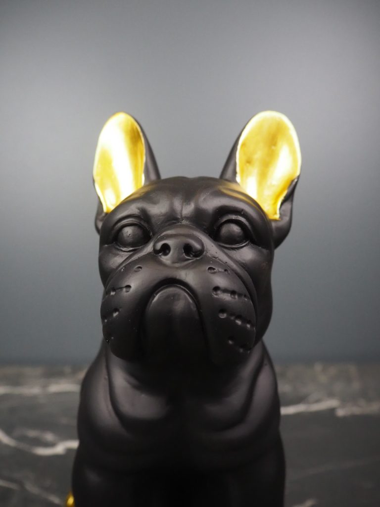 Rupert the dog - Image 5