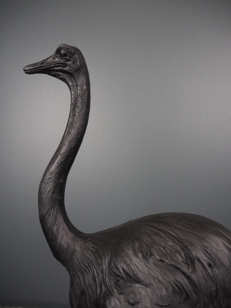 Ossian the ostrich - Image 2