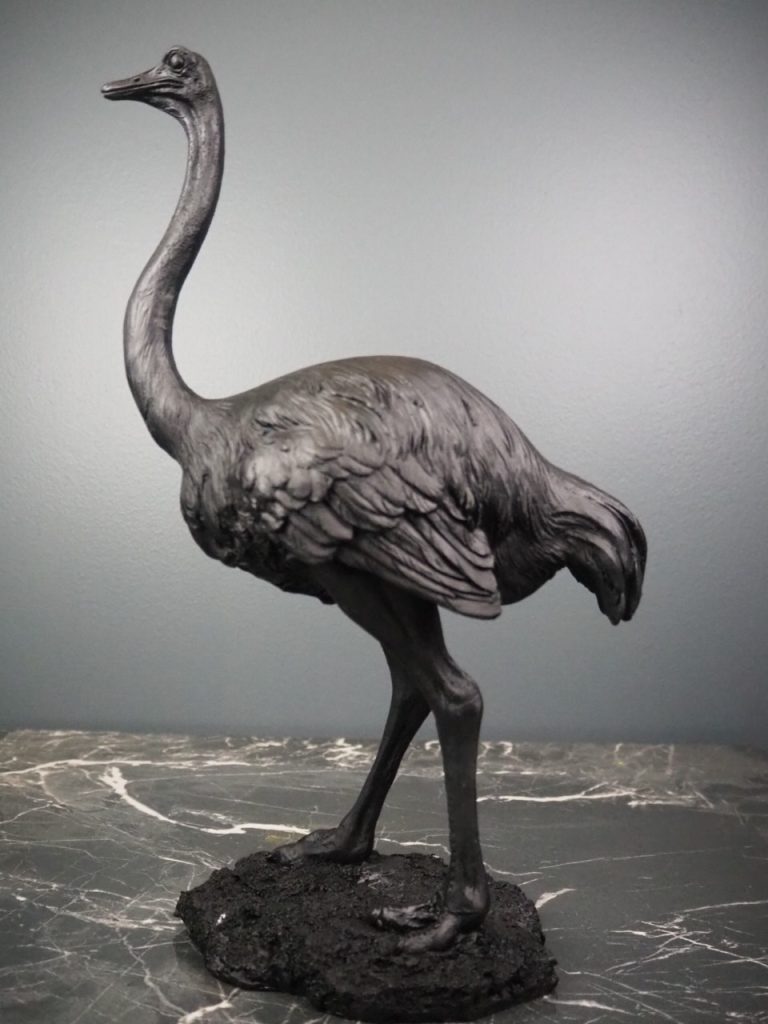 Ossian the ostrich - Image 3