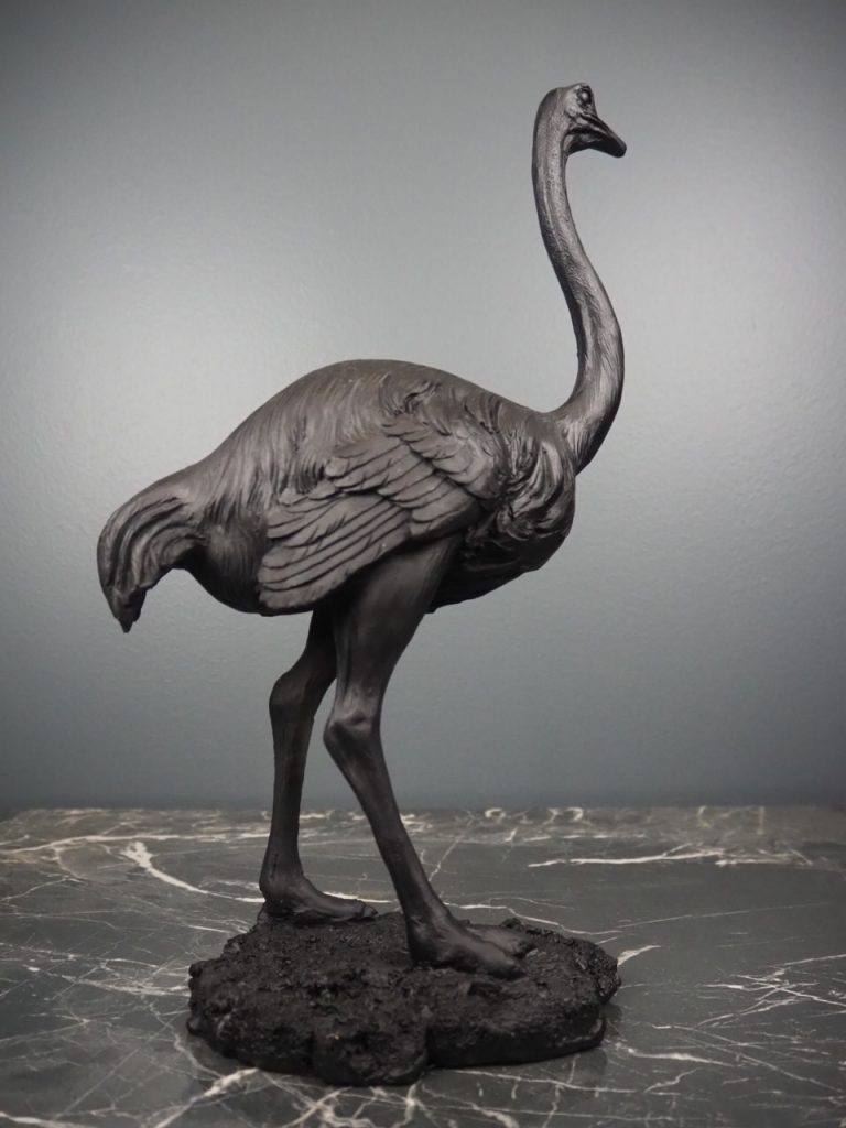Ossian the ostrich - Image 4