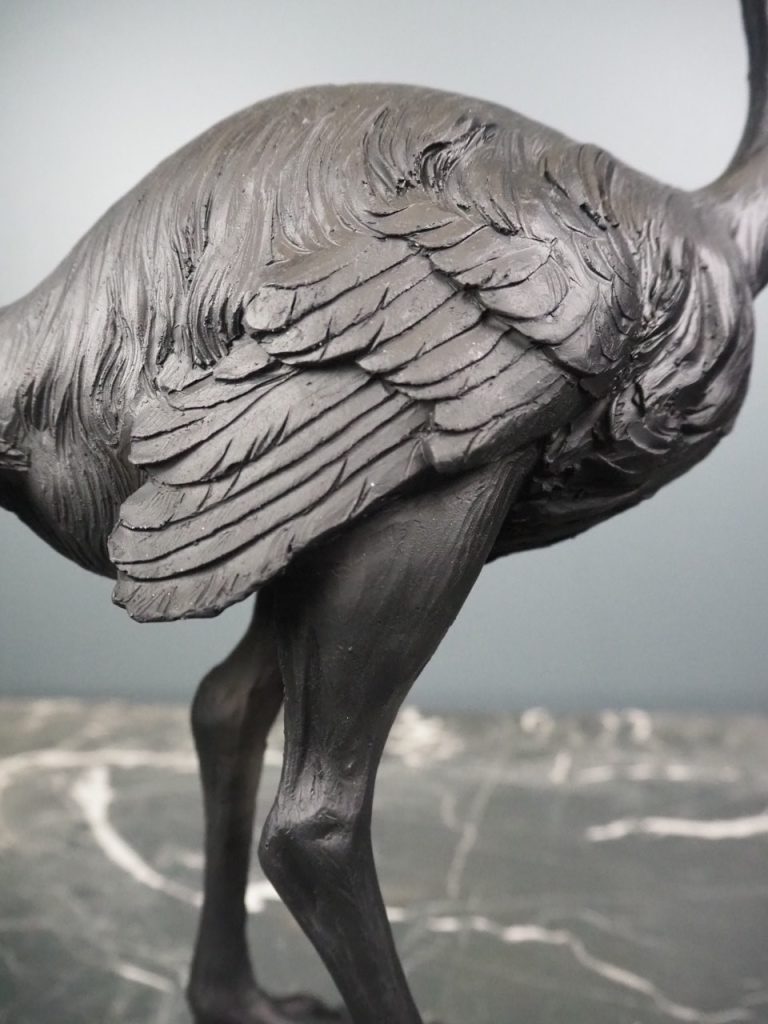 Ossian the ostrich - Image 5