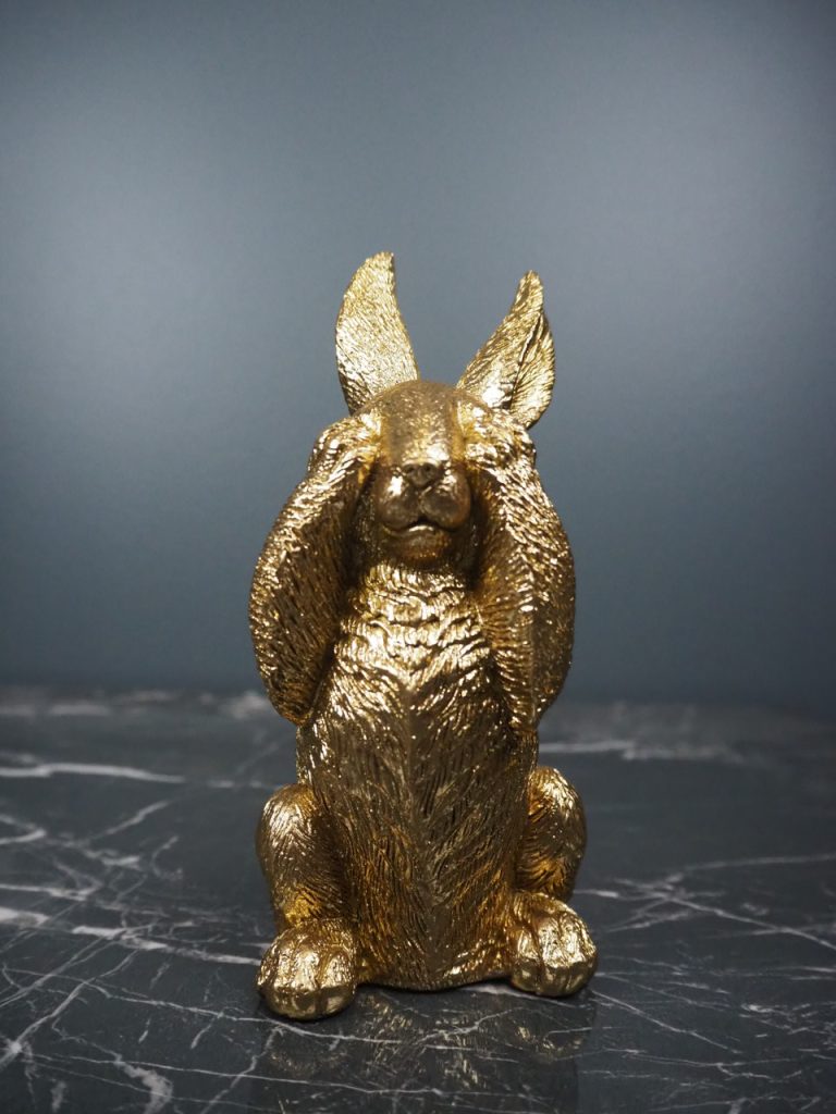 Ralph the rabbit - Image 2