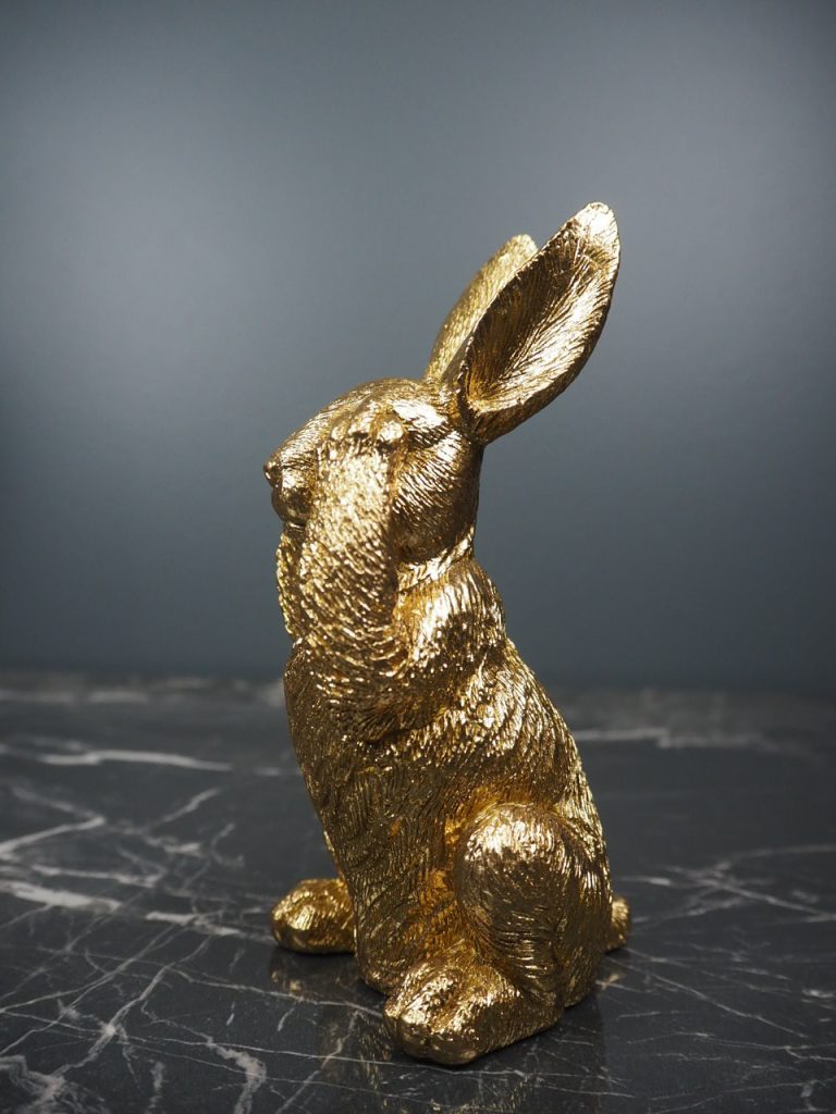 Ralph the rabbit - Image 3