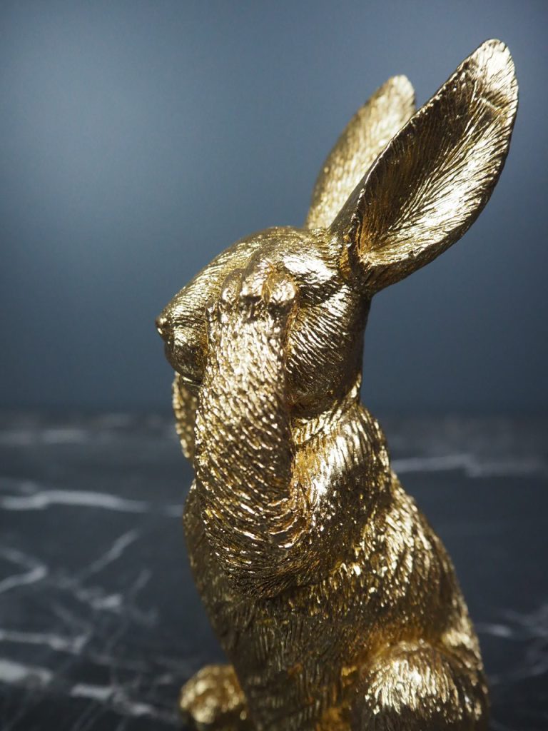 Ralph the rabbit - Image 4