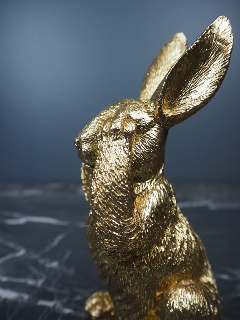 Ralph the rabbit - Image 5