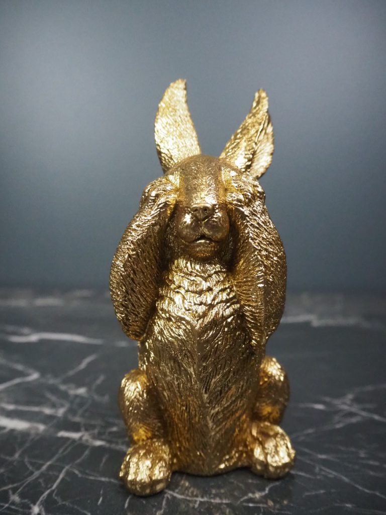 Ralph the rabbit - Image 6