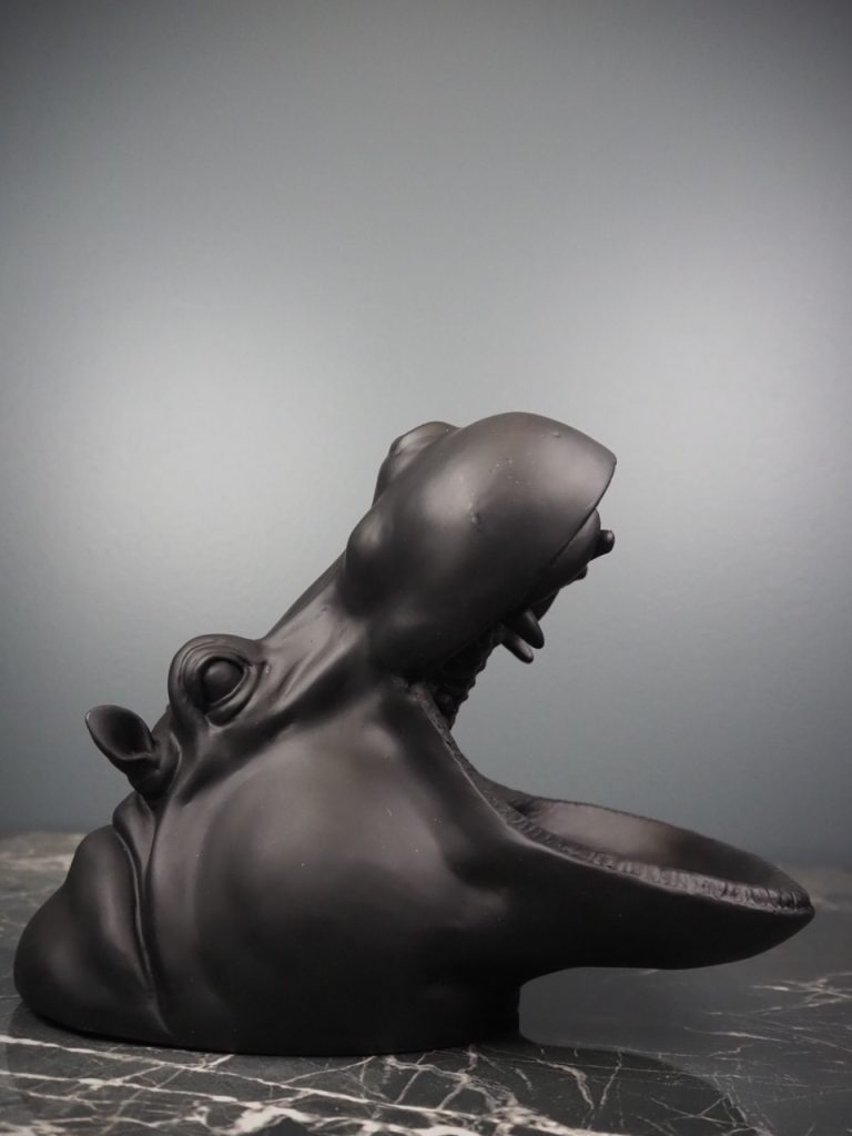 Herbert the hippo - Image 2