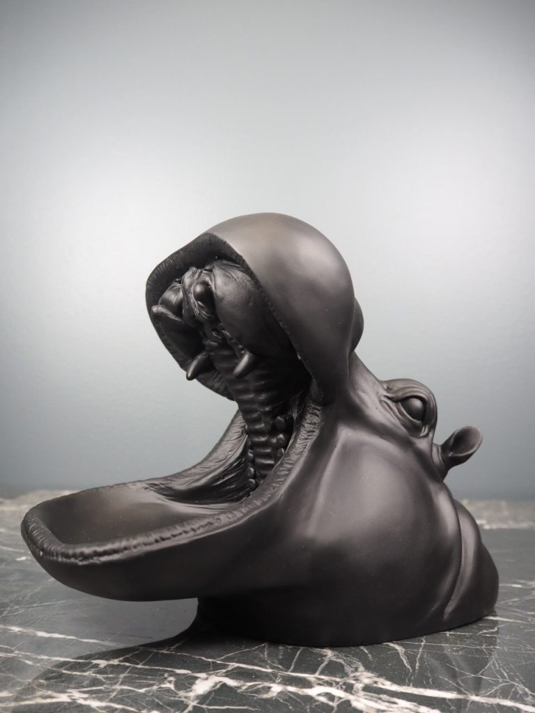 Herbert the hippo - Image 4