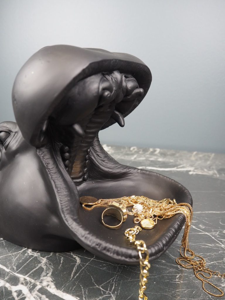 Herbert the hippo - Image 5