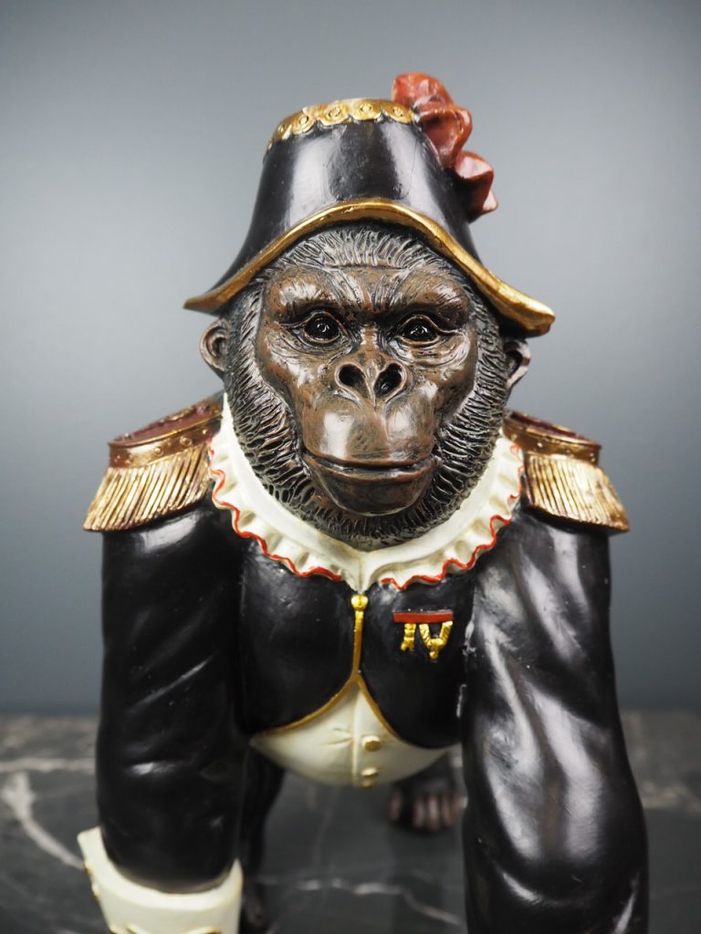 Graham the gorilla - Image 7