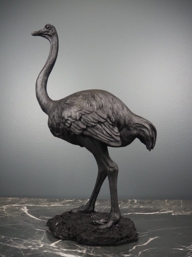 Ossian the ostrich