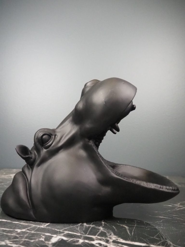 Herbert the hippo