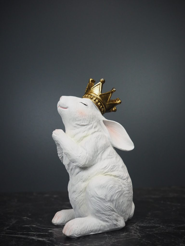 Rosalia Rabbit praying
