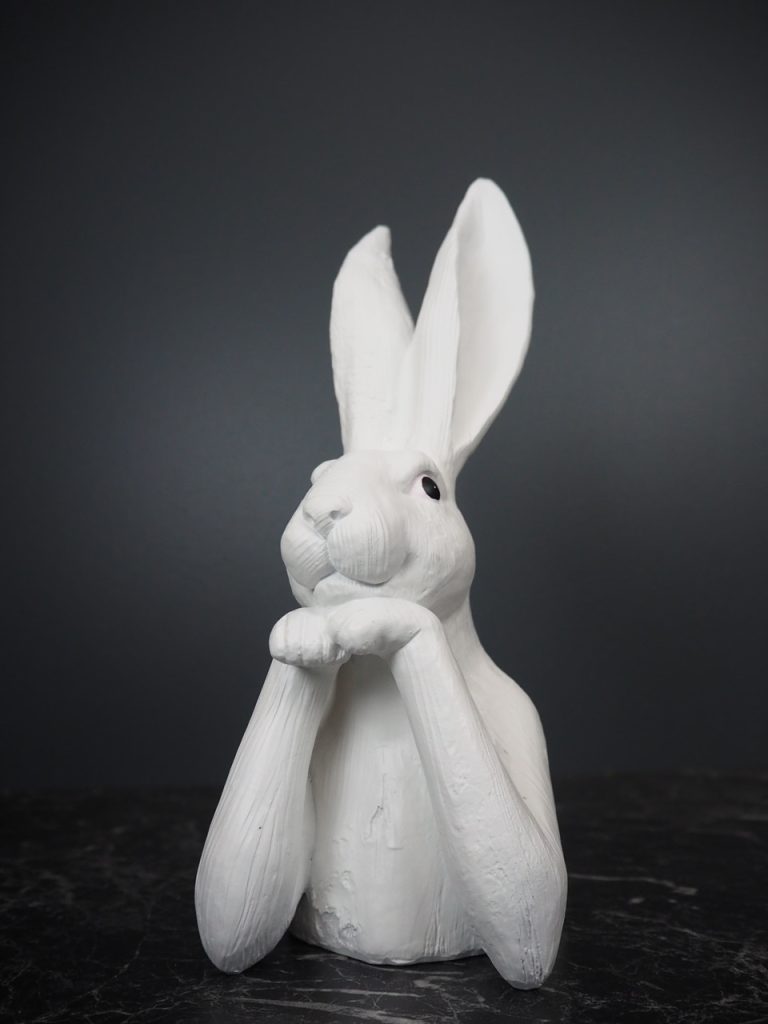 Romina Rabbit thinking
