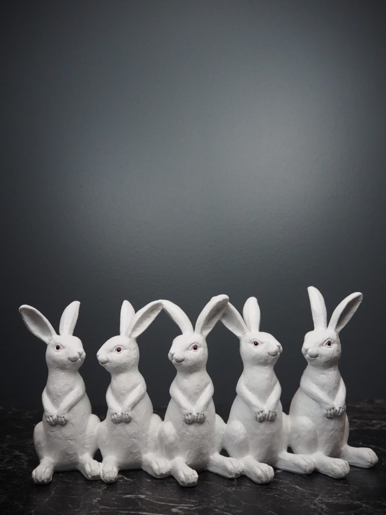 Renzo Rabbit family 5