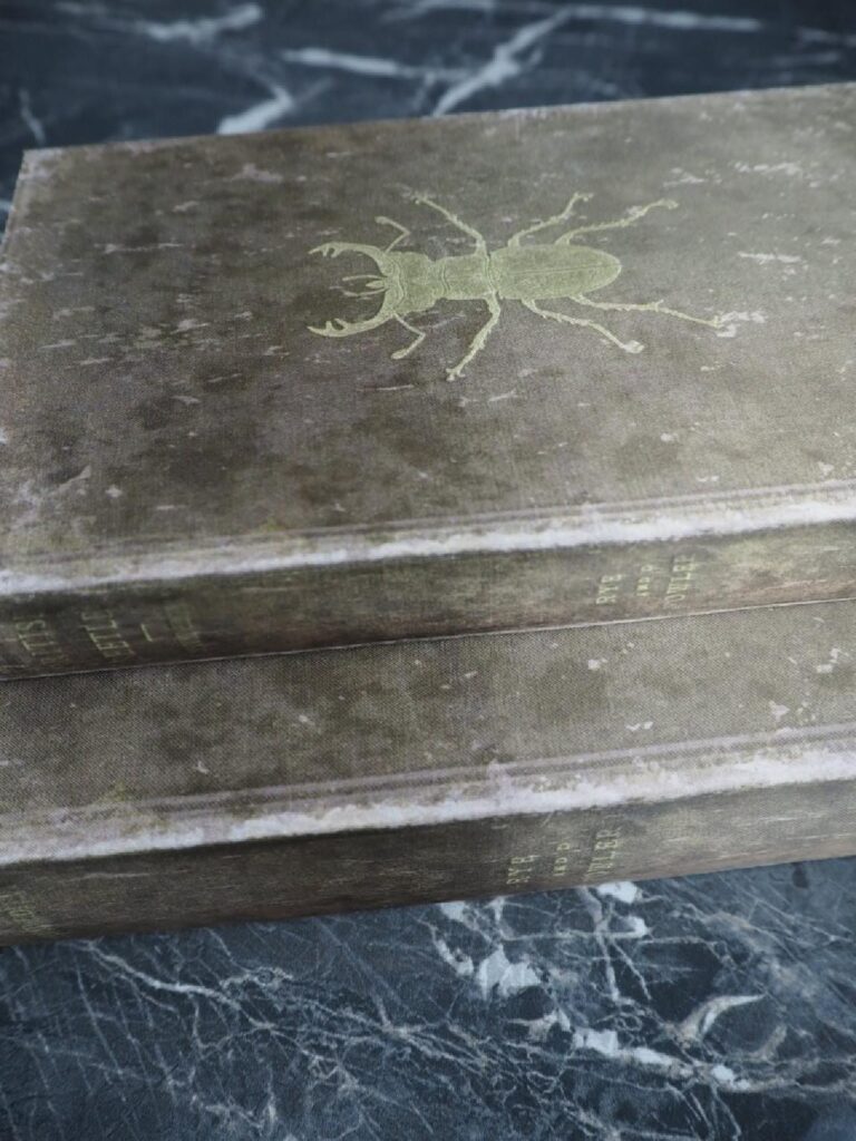 Insect book box green S/2 - Image 4