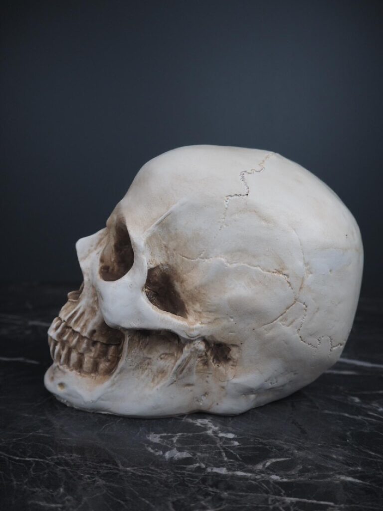 Resin skull decoration - Image 2