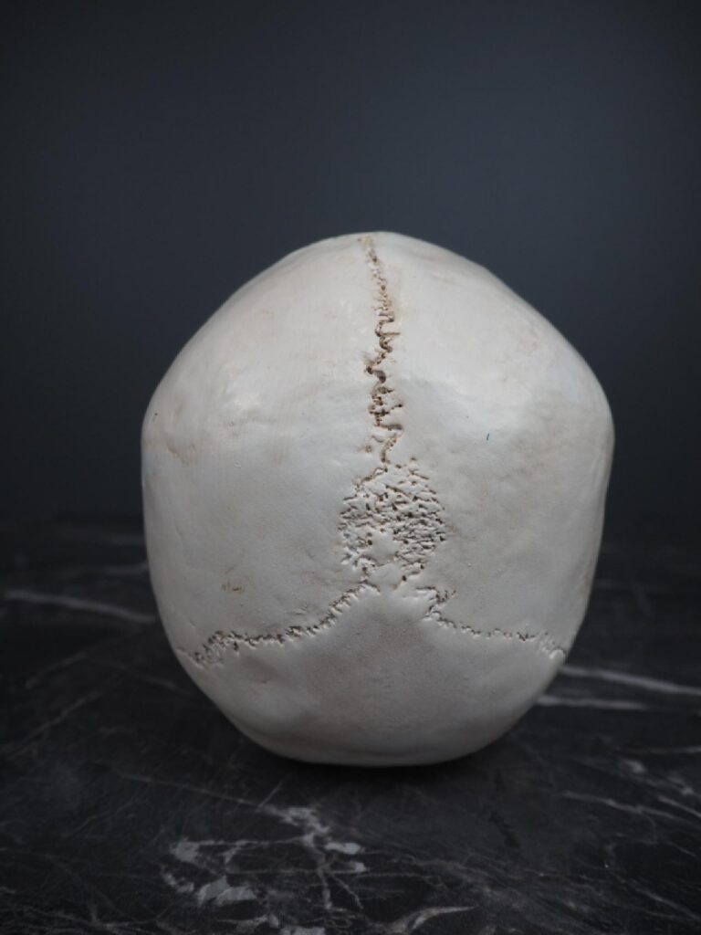 Resin skull decoration - Image 3