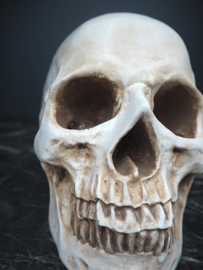 Resin skull decoration - Image 4