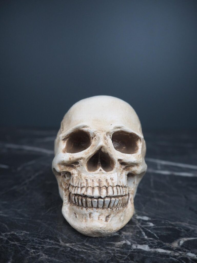 Resin skull decoration - Image 2
