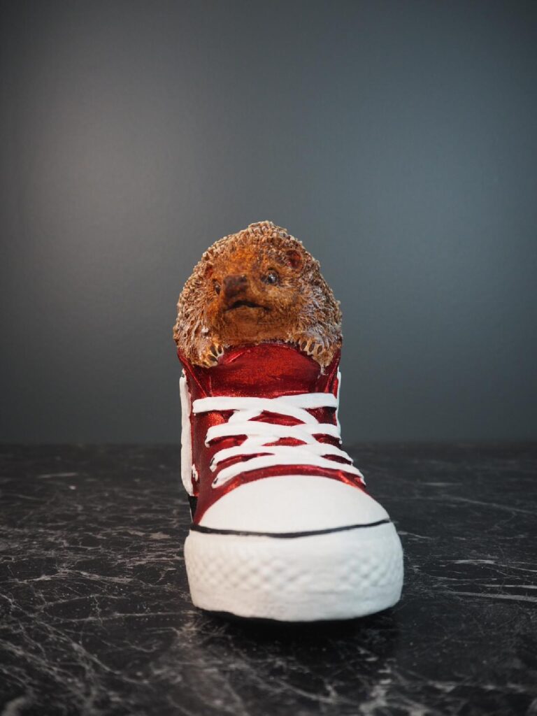 Hedgehog  red sneakers - Image 2