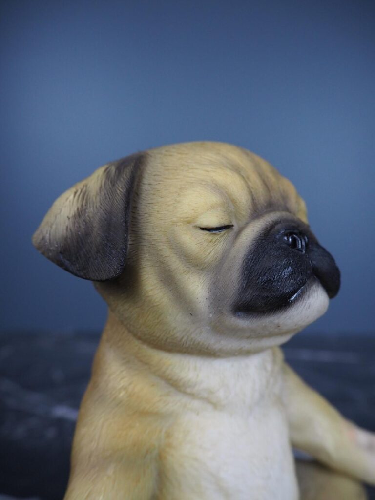 Puppy - Image 4