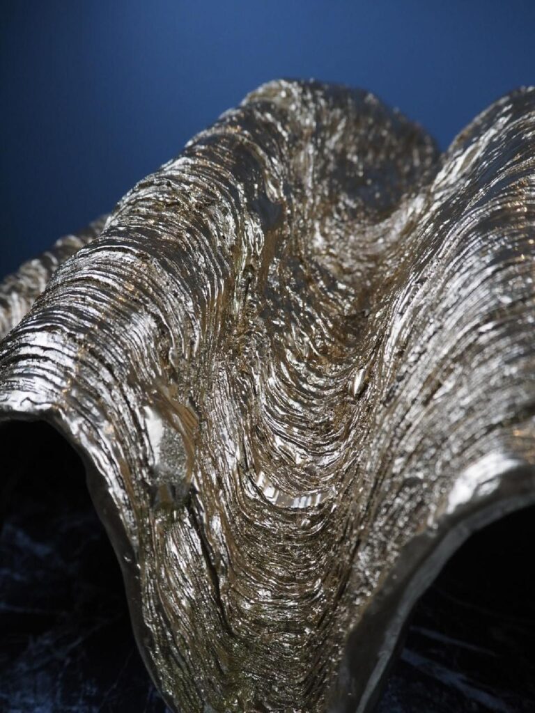 Golden shell - Image 3