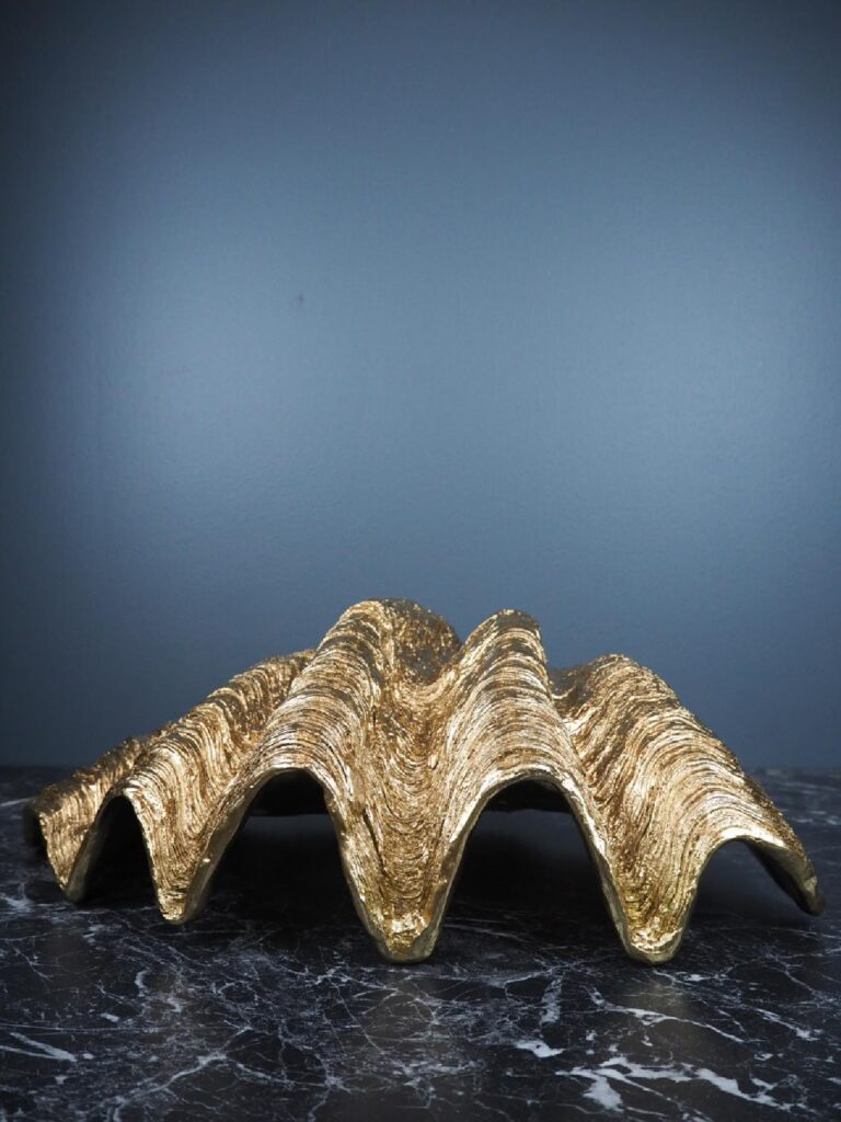 Golden shell - Image 4