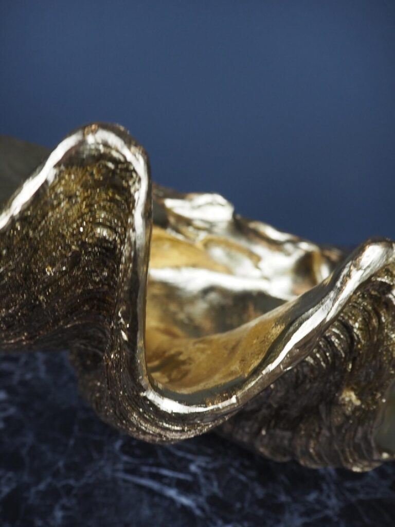 Golden shell - Image 2