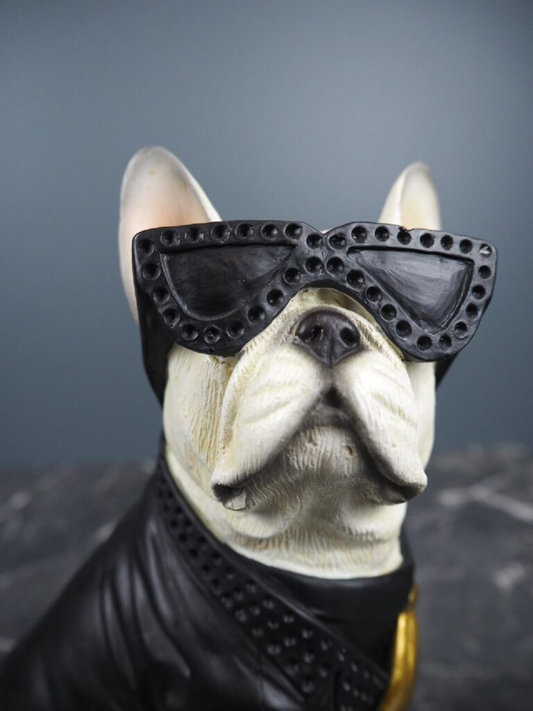 Dog w shades - Image 4