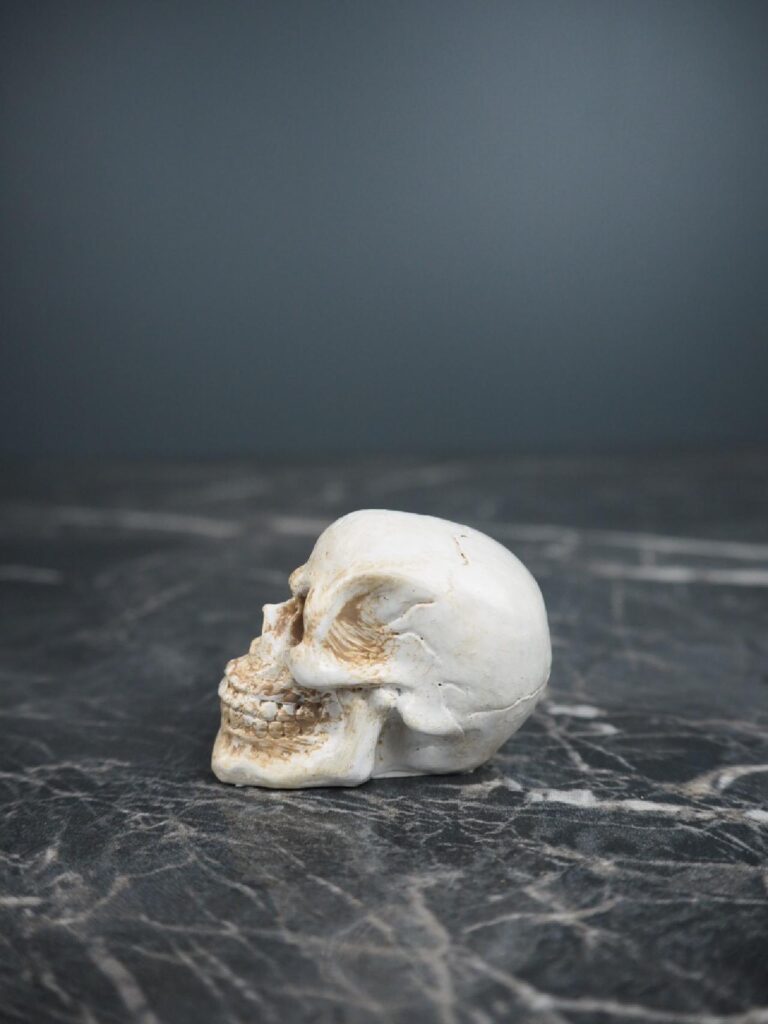 Resin skull decoration - Image 2